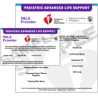 PALS Provider eCard
