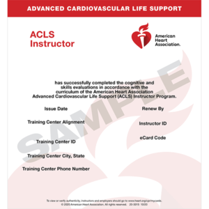 ACLS Instructor Course - Image 2