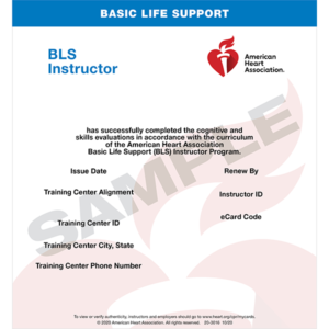 BLS Instructor Course - Image 2