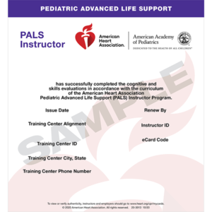 PALS Instructor Course - Image 2